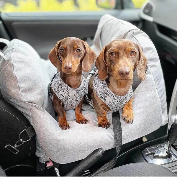 Asiento y Maleta para Perros - Image 2