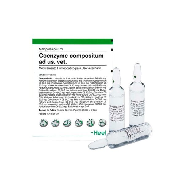Coenzyme Compositum