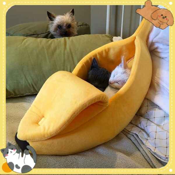 Cama Banano C?moda talla S - Image 2