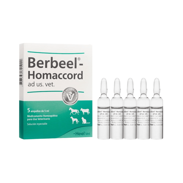 Berbeel-Homaccord (Berberis) x 1 Amp