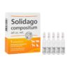 Solidago Compositum