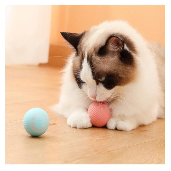 Juguete Bola interactivo Para Gato perro - Image 2