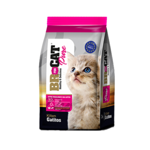 BR For Cat Gatitos