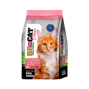 BR For Cat Salmón
