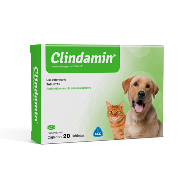 Clindamin x 20 Tab