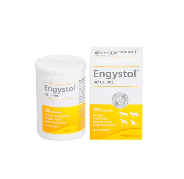 Engystol Ad Us. Vet X 100 Tab