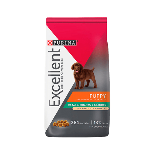 Excellent Dog Puppy Raza MG