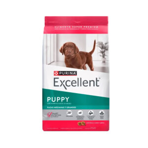 Excellent Dog Puppy