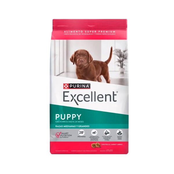 Excellent Dog Puppy