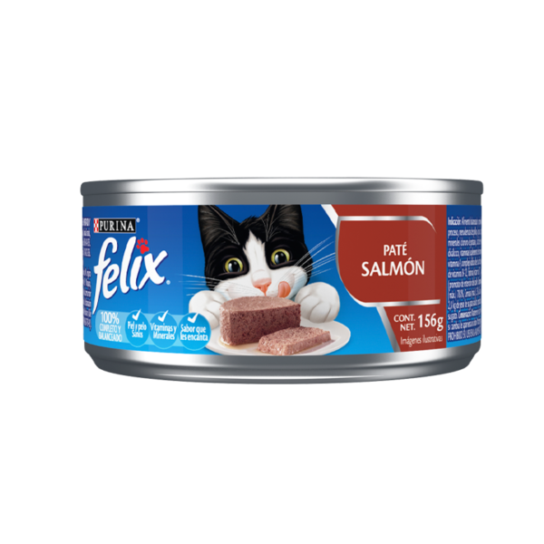Felix Pat? Salm?n 156g