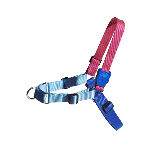 Medium Cooly Soft-Walk Harness