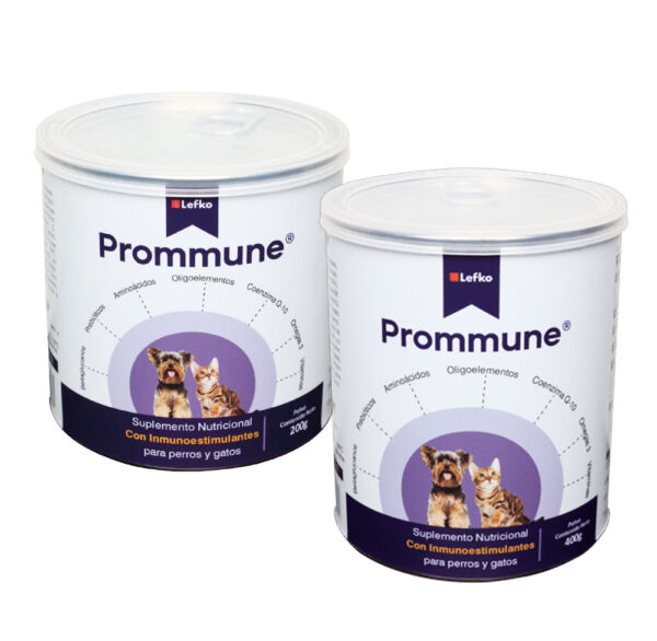 Prommune