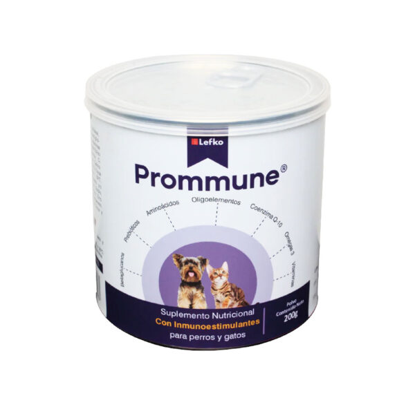 Prommune - Image 2