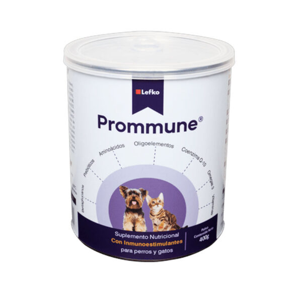 Prommune - Image 3