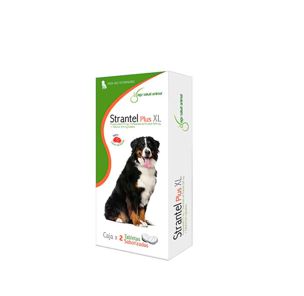 Strantel Plus Perro XL x2 Tab Saborizadas