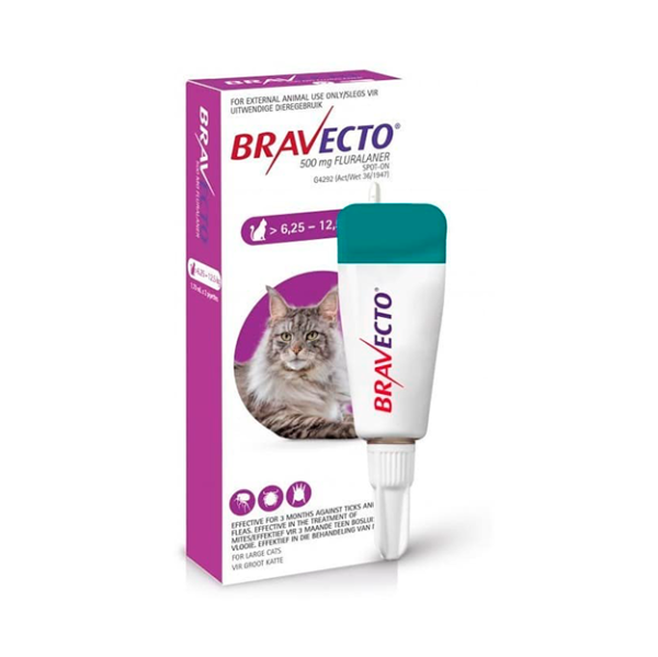 Antipulgas Bravecto Gatos Spot on 6.2 a 12. 5 kl