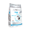 Nupec Felino Kitten