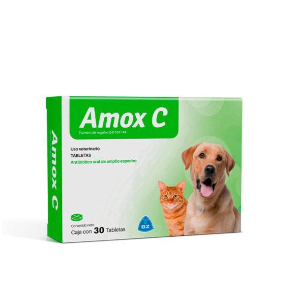 AMOX C BLISTER X 6 TAB