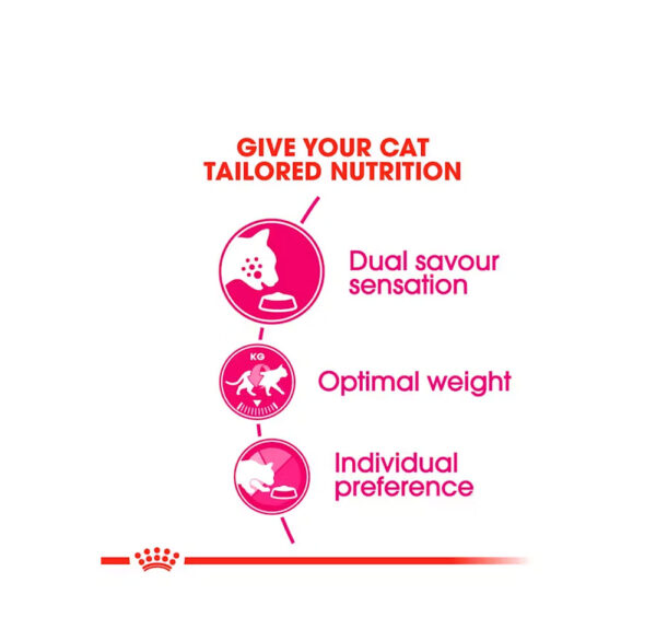 ROYAL CANIN GATO SAVOUR EXIGENT 400G - Image 2