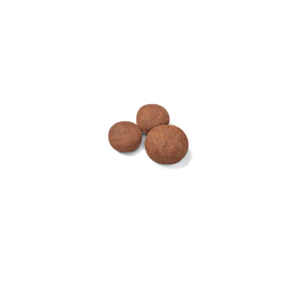 ROYAL CANIN MEDIUM PUPPY - Image 2