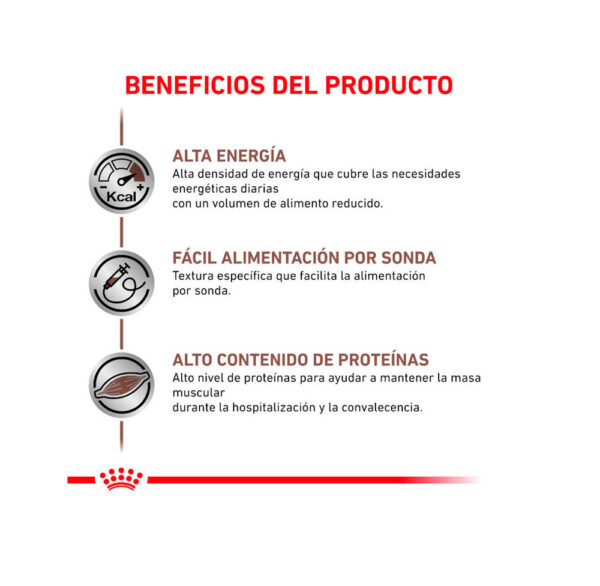 ROYAL CANIN LATA RECOVERY  0.14 KG - Image 2