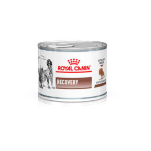 ROYAL CANIN LATA RECOVERY  0.14 KG