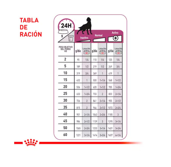 ROYAL CANIN LATA RENAL DOG X 13.0Z - Image 2
