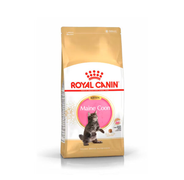 ROYAL CANIN MAINE COON KITTEN 2KG