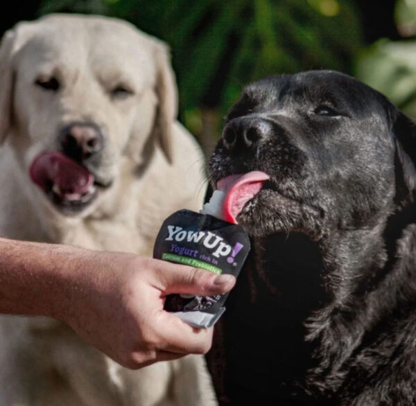 YOU PERROS PROBIOTIC X115G - Image 3