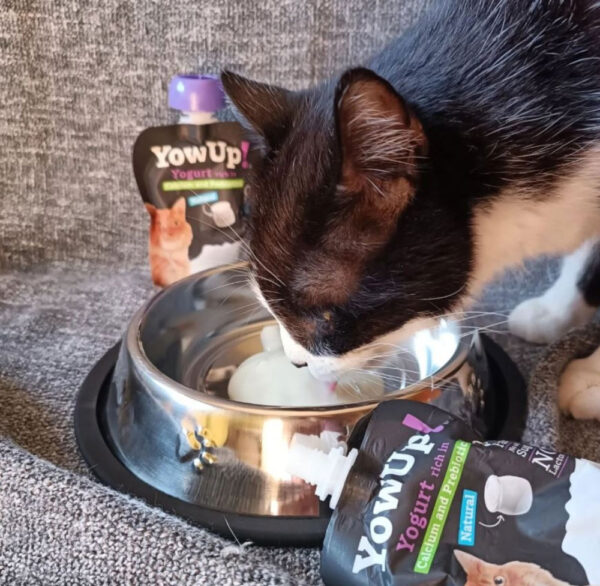 YOWUP GATOS PREBIOTICS X85G - Image 3