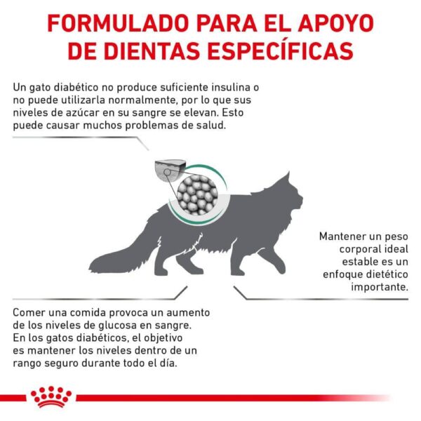 ROYAL CANIN GLYCOBALANCE CAT 2 KILOS - Image 3