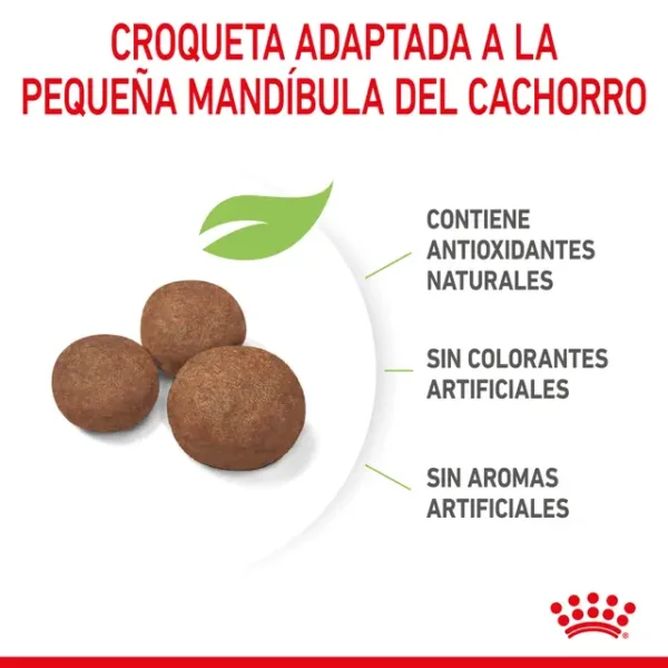 ROYAL CANIN MEDIUM PUPPY - Image 2