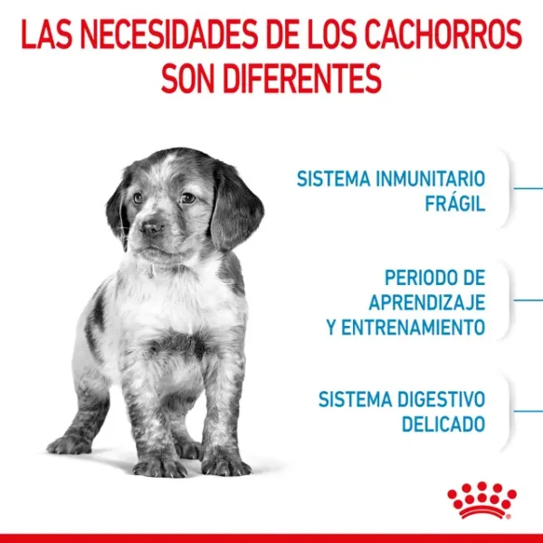 ROYAL CANIN MEDIUM PUPPY - Image 3