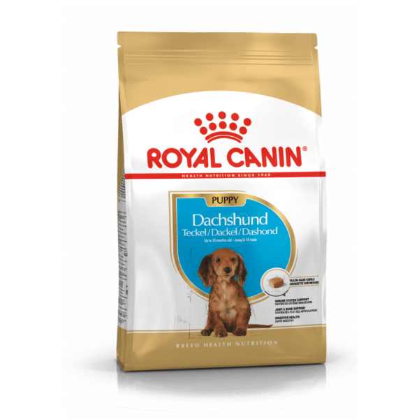 ROYAL CANIN DOG  DACHSHUND PUPPY