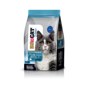 BR FOR CAT CASTRADO SALMON