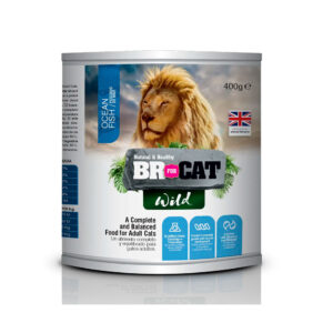 BR FOR CAT LATA WIL OCEAN 400G