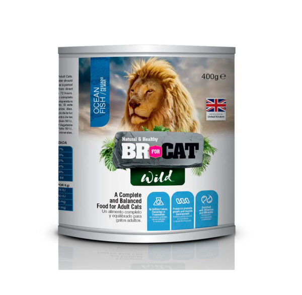 BR FOR CAT LATA WIL OCEAN 400G