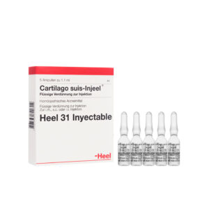 CARTILAGO SUIS INJEEL AMPOLLA X 1.1 ML