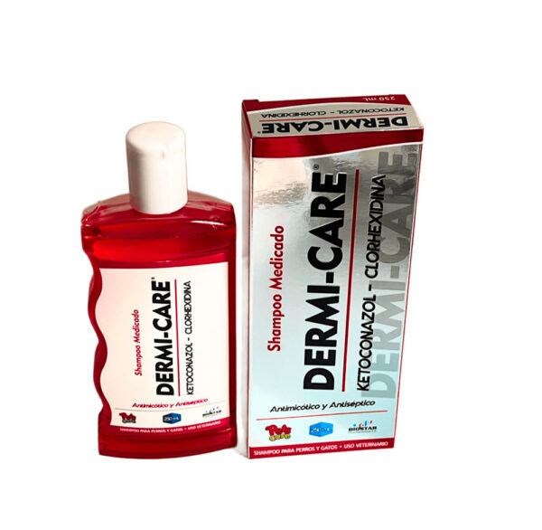 CHAMPU DERMICARE MEDICADO X 250 ML