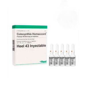 COLOCYNTHIS HOMACCORD AMPOLLA X 1.1 ML