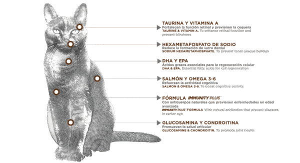 NUPEC FELINO SENIOR - Image 2