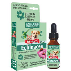 ESENCIA ECHINACEA LETS GO FCO X 25 ML