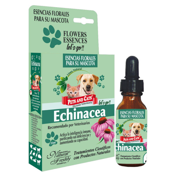 ESENCIA ECHINACEA LETS GO FCO X 25 ML