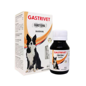 GASTRIVET X 60 ML