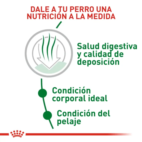 ROYAL CANIN MINI INDOR AD.1.5KG - Image 3