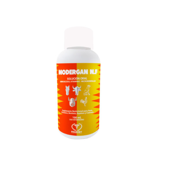 MODERGAN ORAL X 100 ML