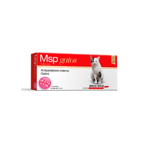 MSP GATOS 2-4 KG