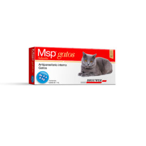 MSP GATOS 4 A 8 KG