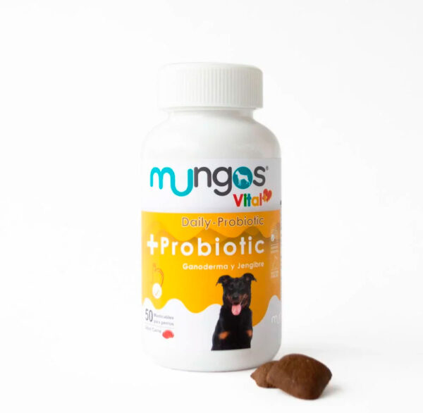 MUNGOS PROBIOTIC MASTICABLES X 50 UND