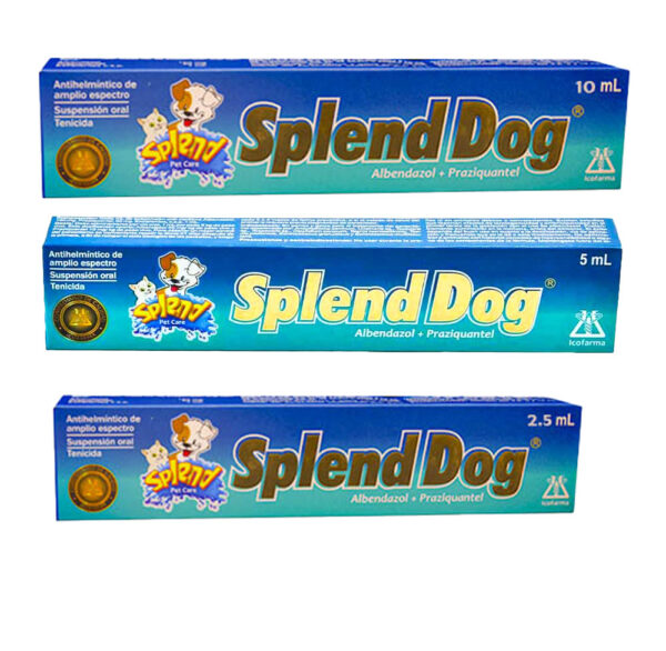 SPLEND DOG